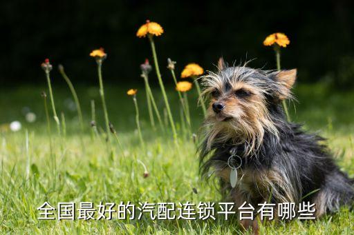 全国最好的汽配连锁平台有哪些