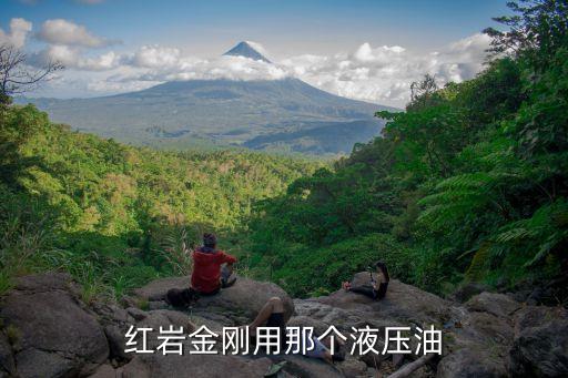 红岩金刚汽配，三门峡哪里有买新红岩金刚配件急需啊