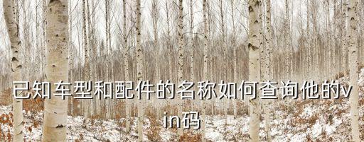 已知车型和配件的名称如何查询他的vin码