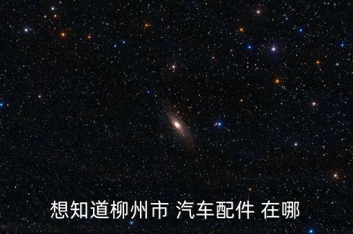 想知道柳州市 汽车配件 在哪