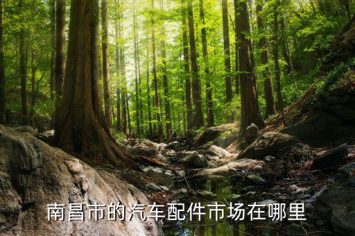 南昌市的汽车配件市场在哪里
