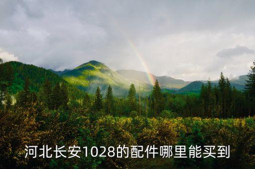河北长安1028的配件哪里能买到