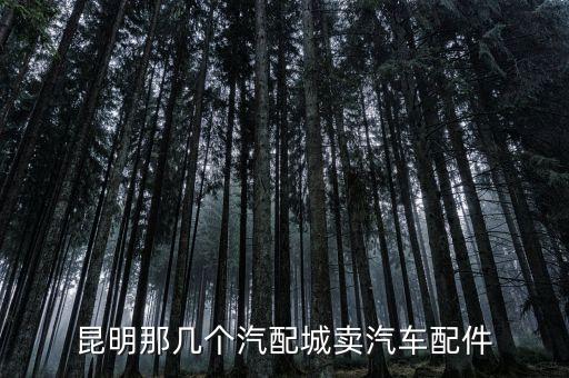 昆明那几个汽配城卖汽车配件