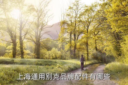 上海通用别克品牌配件有哪些