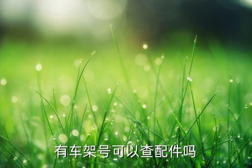 有车架号可以查配件吗