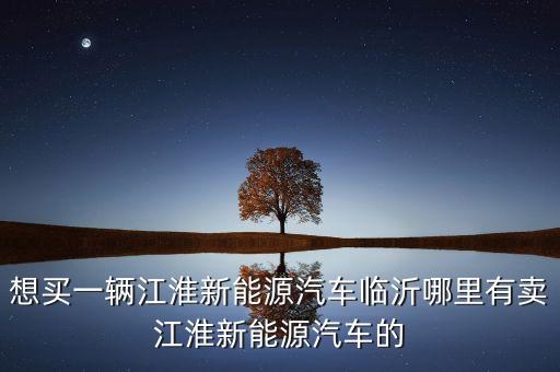 想买一辆江淮新能源汽车临沂哪里有卖江淮新能源汽车的