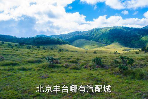 北京丰台哪有汽配城