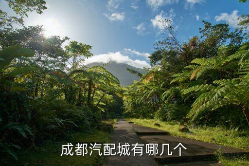 成都汽配城有哪几个