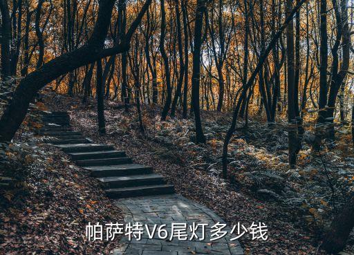 帕萨特V6尾灯多少钱