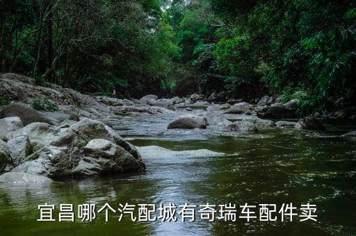 宜昌哪个汽配城有奇瑞车配件卖