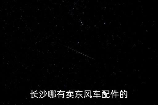 长沙哪有卖东风车配件的