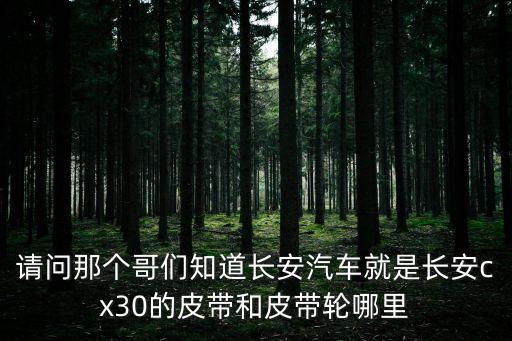 请问那个哥们知道长安汽车就是长安cx30的皮带和皮带轮哪里