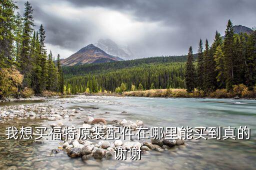 我想买福特原装配件在哪里能买到真的谢谢