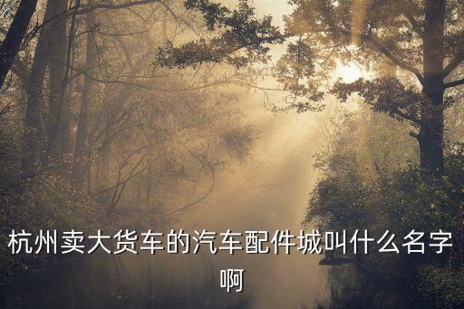 杭州卖大货车的汽车配件城叫什么名字啊