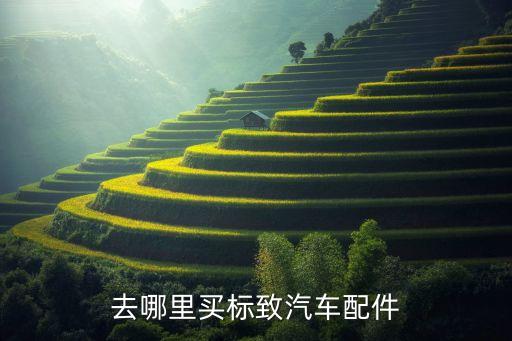 去哪里买标致汽车配件