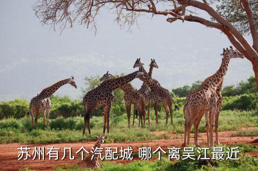 苏州有几个汽配城 哪个离吴江最近