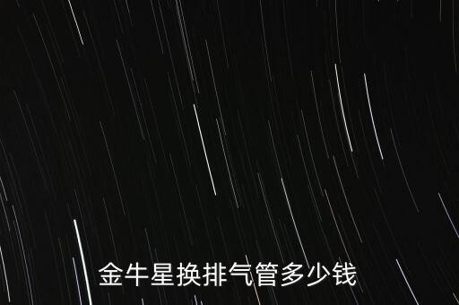 济南汽配城排气管，请问 济南哪有专业改装汽车排气管的 哪里有改装排气管的