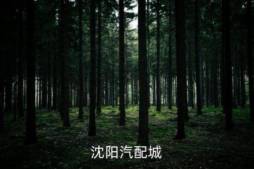 沈阳汽配城