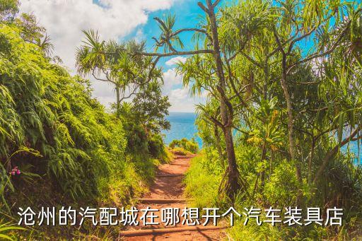 沧州汽配城配件批发商，沧州汽配城哪个好啊在哪里啊