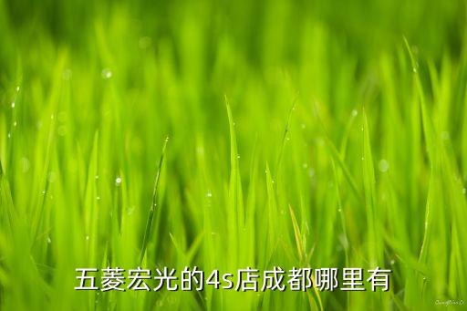 五菱宏光的4s店成都哪里有