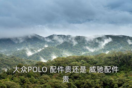 大众POLO 配件贵还是 威驰配件贵