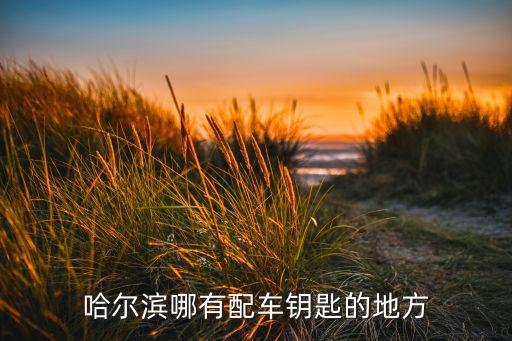 哈尔滨哪有配车钥匙的地方