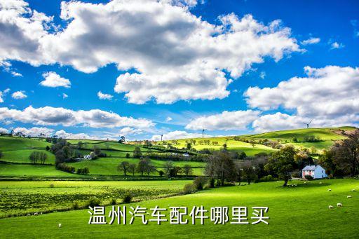 温州汽车配件哪里买