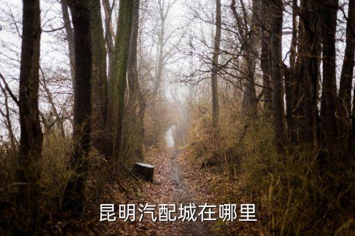 昆明汽配城在哪里