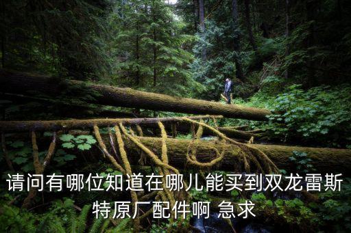 双龙汽车配件 价格，广州华南汽配城汽车配件价格便宜吗