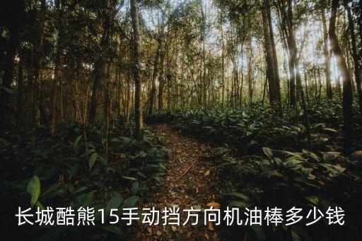 酷熊汽车配件，长城酷熊15手动挡方向机油棒多少钱