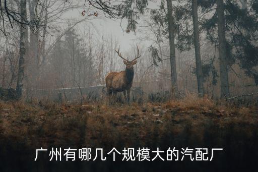 广州有哪几个规模大的汽配厂