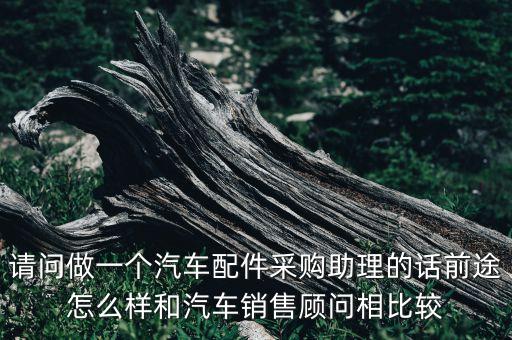 请问做一个汽车配件采购助理的话前途怎么样和汽车销售顾问相比较