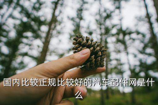 国内比较正规比较好的汽车配件网是什么