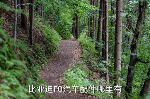 比亚迪F0汽车配件哪里有