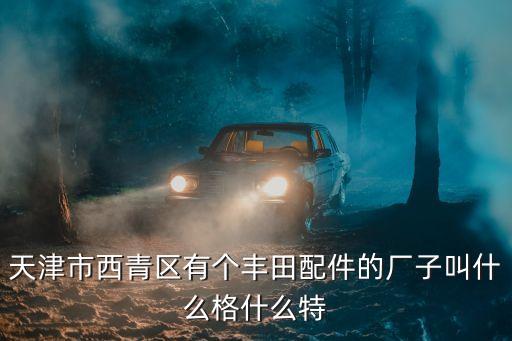 天津丰田汽车配件地址，天津市西青区有个丰田配件的厂子叫什么格什么特