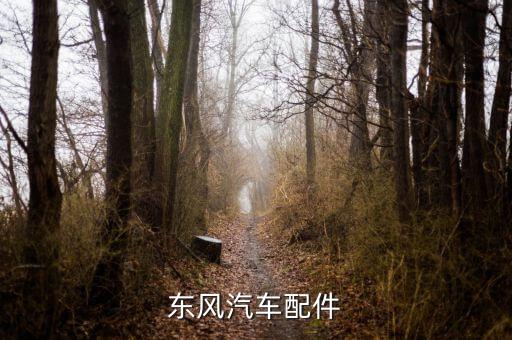 东风汽车配件