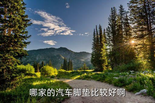 哪家的汽车脚垫比较好啊