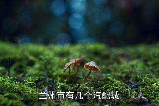 兰州市有几个汽配城