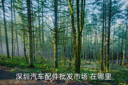深圳汽车配件批发市场 在哪里