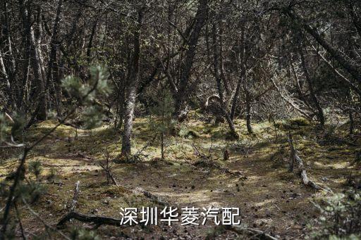 深圳华菱汽配