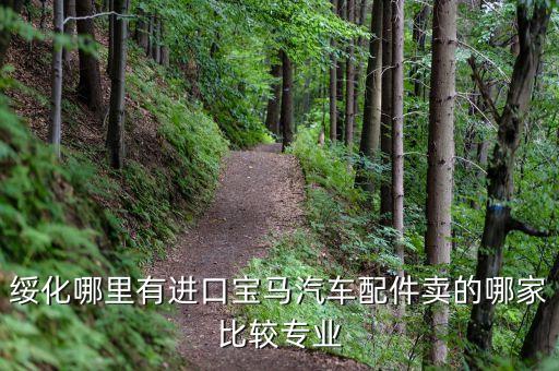绥化哪里有进口宝马汽车配件卖的哪家比较专业