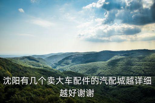 沈阳有几个卖大车配件的汽配城越详细越好谢谢