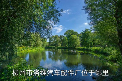 援维汽车配件有限公司，柳州市洛维汽车配件厂位于哪里