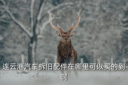 连云港汽车拆旧配件在哪里可以买的到啊