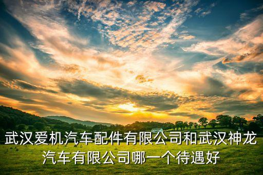 武汉爱机汽车配件有限公司和武汉神龙汽车有限公司哪一个待遇好