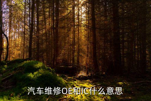 汽车维修OE和IC什么意思