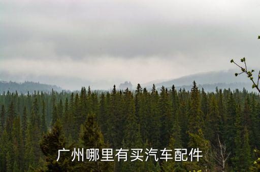广州哪里有买汽车配件