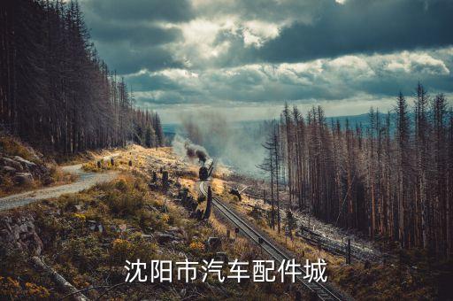 沈阳市汽车配件城