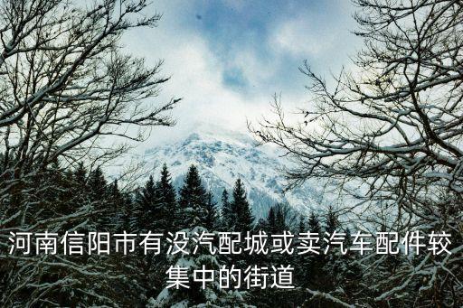 信阳市君阁汽车配件，4s店说要480元那么贵吗听说君阁车的配件好贵啊市场上买不