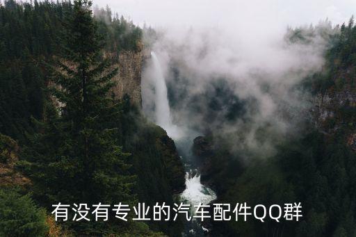 有没有专业的汽车配件QQ群